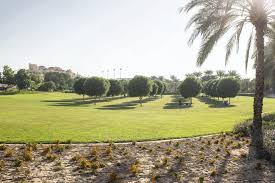 See reviews and photos of parks, gardens & other nature attractions in stanford, california on tripadvisor. From The Palm To The Creek The 10 Best Parks In Dubai