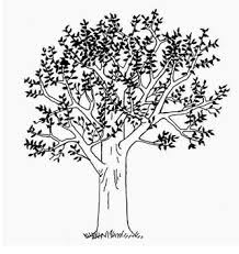 Psikotes Superindo Ilmusosial Id