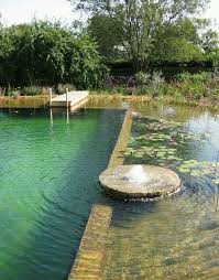 Modern Swimming Pool Design Does Not Constantly Indicate That A Pool Was Constructed Recently Or Has Every On Natural Swimming Pools Swimming Pond Natural Pool