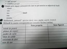 Va Rog Am Nevoie Rapid ExerciÈ›iul Cu Sens Propriu È™i Sens Figurat Brainly Ro