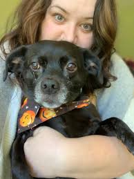 Here are some pictures with my pup! She's a black pug/beagle mix named  Penny Lane Ham Sandwich. She was the flower girl at our wedding! She has  the same personality of Moo