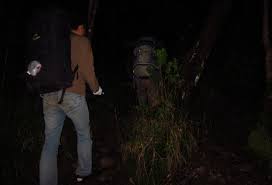 Kisah Nyata Gunung Gede Pangrango Bikin  orang Merinding Jika Membacanya