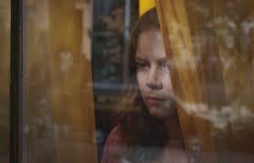 Finnem, autorem książki „kobieta w oknie. Thriller Psychologiczny Kobieta W Oknie Trafi Na Netfliksa Zobaczcie Przerazajacy Zwiastun