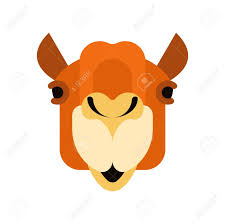 How to draw male faces. Camel Face Front Head Animal Uae Beast Of Desert Vector Illustration Royalty Free Cliparts Vectors And Stock Illustration Image 102247723