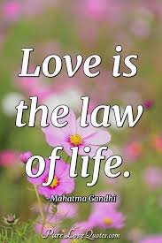 Love you miss pomen | telefilem. Love Is Life And If You Miss Love You Miss Life Purelovequotes