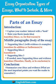 Essay Organization Types Of Essay Essay Academic Vocabulary