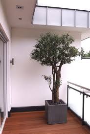 Wetterfeste Kunstpflanzen Von Bellaplanta Blackolive Kunstlich Uv Bestandig Terrasse Kreative Aussengestaltung I Kunstpflanzen Pflanzen Aussengestaltung