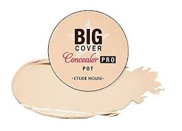 We did not find results for: Etude House Big Cover Concealer Pro Pot In Beige Ingredients Explained