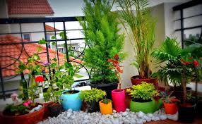 Vegetable planting guide garden forum garden images beautiful space over the years home and garden japanese water plants. Balcony Garden Ideas For A Beautiful Home Decor Latest Breaking News Celebrity News And Gossip Stackumbrella
