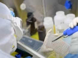 Some have favored vaccinating as many people as possible as quickly as possible, while others have tried to prioritize vaccinating specific vulnerable groups. Queensland Covid 19 Vaccine Shows Promise Healthtimes