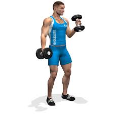 Alternate Dumbble Hammer Curl Biceps Workout Workout Chart Fitness Inspiration