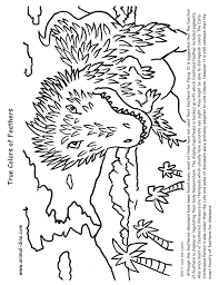 Take a look at some fun facts and learn where you can watch the race online. Animal Coloring Page True Colors Of Feathers Print Size Jack The Lizared Wonder World