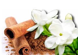 Ia berasal dari sri lanka tetapi banyak diimport dari china dan indonesia. Aroma Melati Dan Kayu Manis Yang Merebak Di Kota Manado Fenomena Mistis