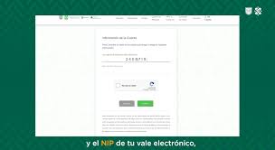 Mi beca para empezar es un apoyo económico para niñas y niños de preescolar, primaria y secundaria. Fidegar Consulta Tu Saldo De Mi Beca Para Empezar Nivel