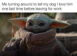 I Love Baby Yota Star Wars Memes Yoda Meme Star Wars Humor