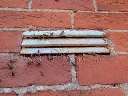 We did not find results for: Honey Bees In Walls Removed By Knowledgeable Experts