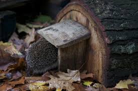 Hedgehog House Abri Herisson Maison Herisson Jardin Mineral