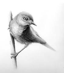 You might find numerous designs depicting the same species of bird however each one will have something that makes it unique and standing out from the rest. Bird Drawing By Conbatiente On Deviantart Bird Drawings Animal Drawings Drawings