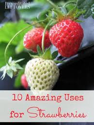 10 Amazing Uses For Strawberries Growing Organic Strawberries Strawberry Growing Strawberries