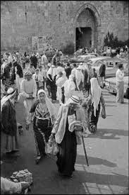 Pin By ريم مصطفى Reem On Palestine Oldie Palestine History Palestine Palestine Art