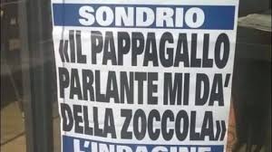 La lotteria degli scontrini, detta anche dei corrispettivi, esclude gli acquisti fatti in qualità di professionista o imprenditore con partita iva, nonché le spese che prevedono una detrazione fiscale (come quelle sanitarie). Il Pappagallo Da Della Zoccola E La Locandina Diventa Virale Prima Mantova