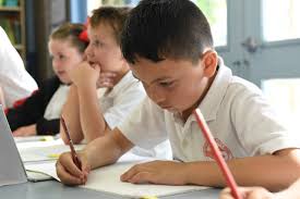 Naplan Shoalhaven Heads Public School