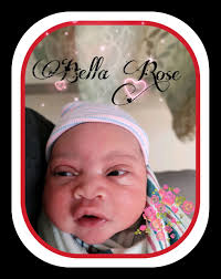 Creative Gardens Ashburn Village