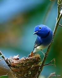 Bird Bird Bird Bird Is The Word Gif Https Encrypted Tbn0 Gstatic Com Images Q Tbn 3aand9gcrz3hq8c5vx6b9xogtcrinz7wmewcx5tnp 0g Usqp Cau