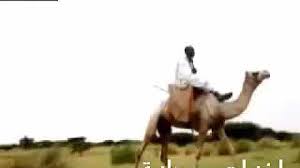 تحميل شعر سوداني عن الشجاعة والكرم مكتوب Mp4 Mp3