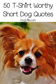 50 Short Dog Quotes That Are Totally T Shirt Worthy Dogvills Short Dog Quotes Dog Quotes Short Dog