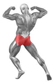 I follow two simple rules when using the smith machine: Smith Machine Lunge Exercise Database Jefit Best Android And Iphone Workout Fitness Exercise And Bodybuilding App Best Workout Tracking Software