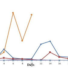 Image result for Tephrosia linearis