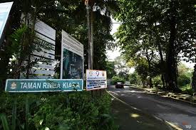 Kiara park is located within 3 minutes' walk of supermarkets, food shops, restaurants, cafes and bars, banks, medical clinics and the usual. Condo Project Will Not Encroach Taman Rimba Kiara Says Project Owner The Edge Markets