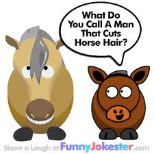Without missing a beat i replied, single handedly. a man walks into a bar with a slab of asphalt under one arm and says, a beer please, and one for the road,. New Horse Joke For Kids With Cartoon New Horse Jokes