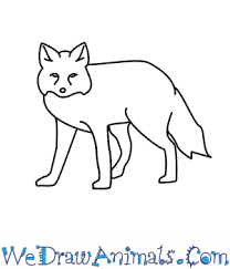 How to draw a fox easy and step by step. How To Draw A Fox