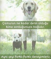 Fevzettin Ozaydin Adli Kullanicinin X7 Panosundaki Pin Ozlu Sozler Edebiyat Guzel Soz