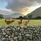 September Lake District Weekend Special - Wasdale Head - Burnthwaite B & B, Wasdale Head Event Image