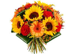Check spelling or type a new query. Fiori On Line Vendita Fiori Per Ogni Occasione