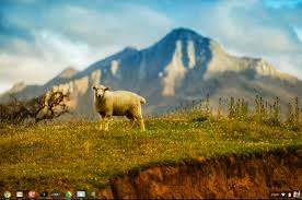 Jun 27, 2021 · doch in chrome os kann man gerade einmal das hintergrundbild austauschen. Neuseeland Berge Mit Schafen Chrom Os Hintergrundbilder 2560x1700 Wallpapertip