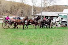 Wheel Runners Driving Clinic