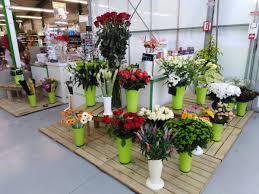 Pour développer le réseau de la franchise gamm vert, il faut avoir le profil d'un commerçant doté de réelles qualités relationnelles et d'un intérêt pour la. Gamm Vert Lucon Magasin Du Reseau Jardineries Cavac