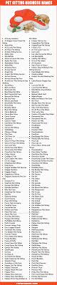 Dog walking and pet sitting in the comfort of your own home! 594 Catchy Pet Sitting Business Names Ideas 2021