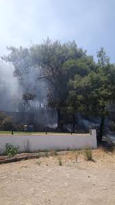 We did not find results for: Radyo Trafik Izmir 102 5 On Twitter Ozdere De Yangin Ozdere Merkez Bankasi Kampi Ormanlik Alanda Iscilerin Yakmis Oldugu Calilar Ormana Sicradi Itfaiye Mudahalesi Devam Ediyor Ayrintilar 102 5 Radyo Trafik Izmir De Radyotrafikizmir Yangin
