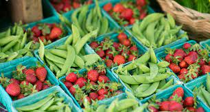 Download farmers market free images from one of the best free stock photo sites. Portland Farmers Market King Farmers Market