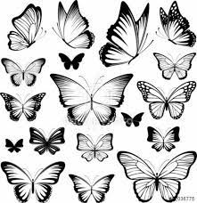 Butterfly Tattoo Delicate Wings Google Search Butterfly Tattoo Designs Butterfly Tattoo Meaning Butterfly Tattoo