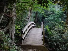 This sign always confuses folks as it oddly says nothing about the rough ridge overlook. Rough Ridge Trail Blue Ridge Parkway Hike How To Reach It