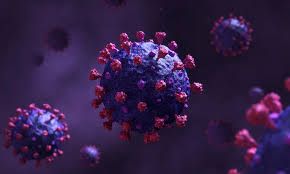 Sars can also be spread indirectly via surfaces that have been touched by someone who is infected with the virus. Compound That Prevents Replication Of Sars Cov 2 Identified By Team