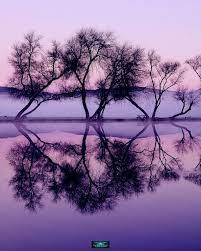 Twilight Reflection Reflection Photography Beautiful Nature Water Reflections