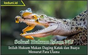 Segala macam alasan yang kamu katakan adalah omong kosong, dasar, kalian cuma mencari kepuasan saja, menggelikan sekali. Inilah Hukum Makan Daging Katak Dan Buaya Menurut Para Ulama