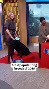 Moved to Fruita, Colorado